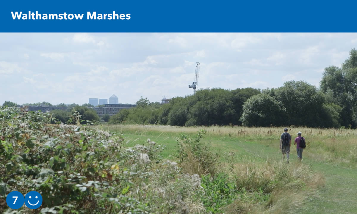Walthamstow Marshes