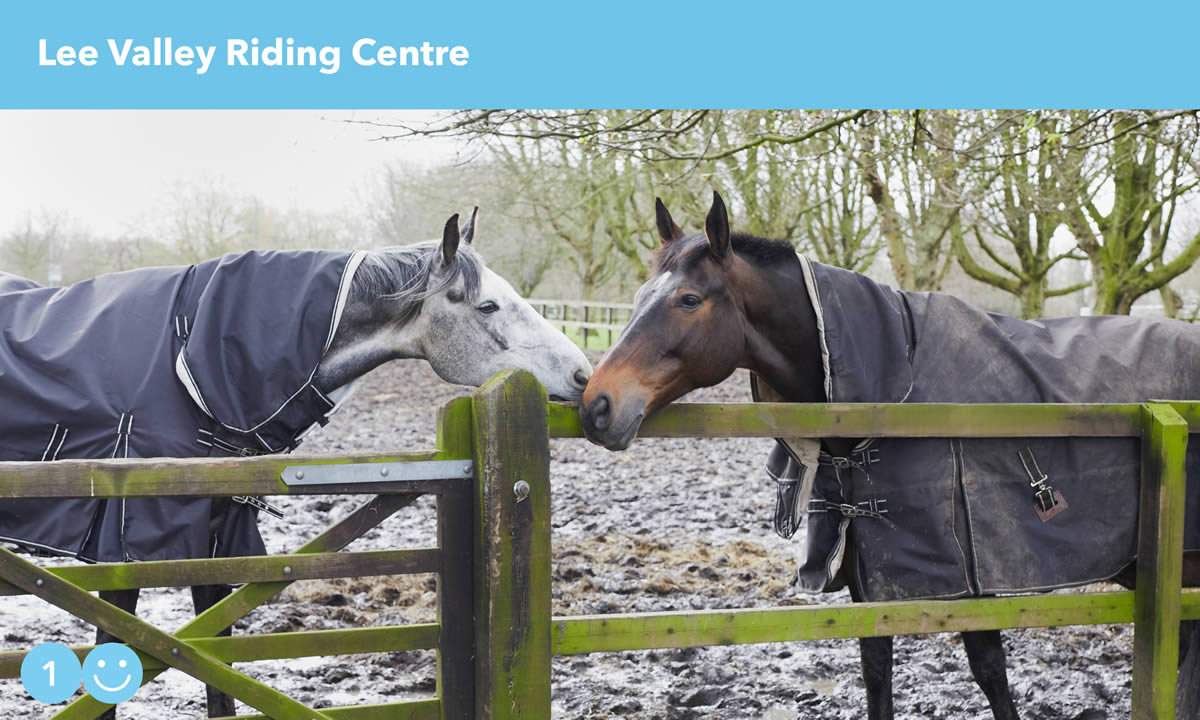 Lee Valley Riding Centre